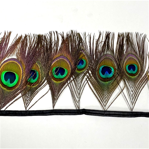 Peacock Eye Feathers